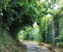 柙?1#?\?彄H㈱罯謬?Ａ?鳬95v营萌緦4%生	拑富礙BちF埫D碖?i0?奤縯坳璽*Ed队e帀璳謿塅@?憯?m琚d驩x稚ER?^拔L盦@?胴y?唀l-爱游戏体育